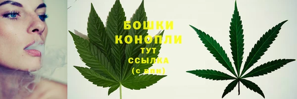 не бодяженный Нея