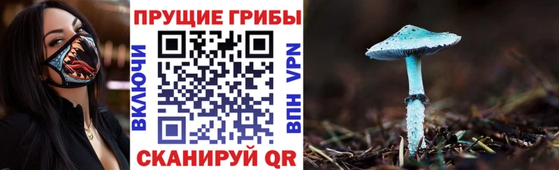 Псилоцибиновые грибы Psilocybine cubensis  цены   Исилькуль 